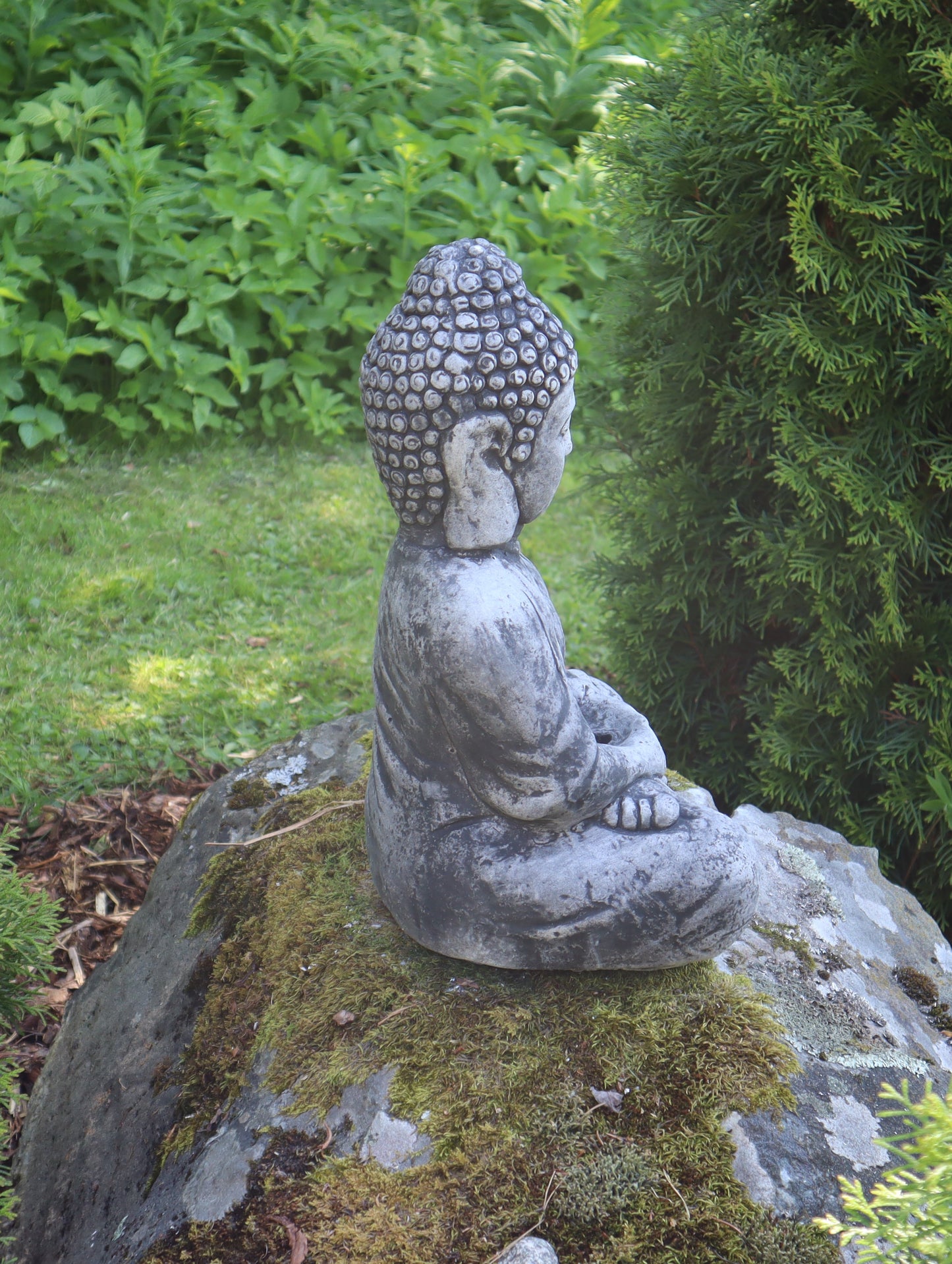 Buddha, Iso