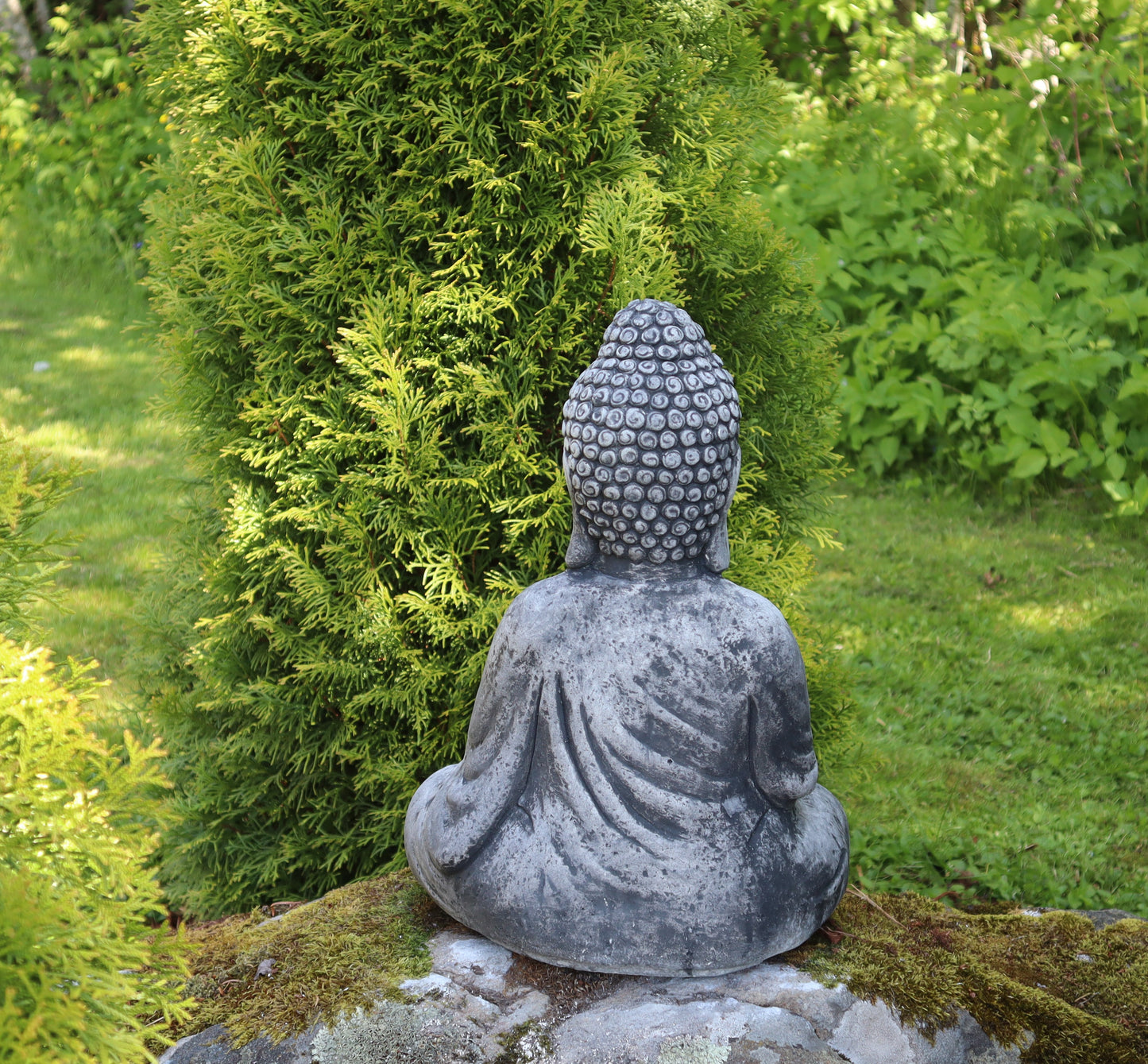 Buddha, Iso