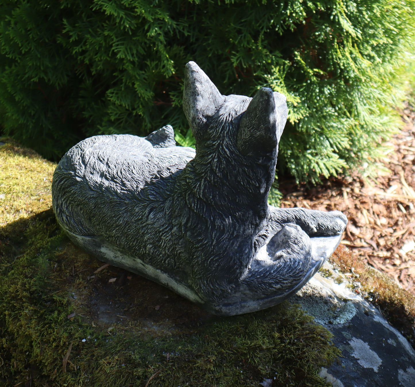 Koira, Saksanpaimenkoira