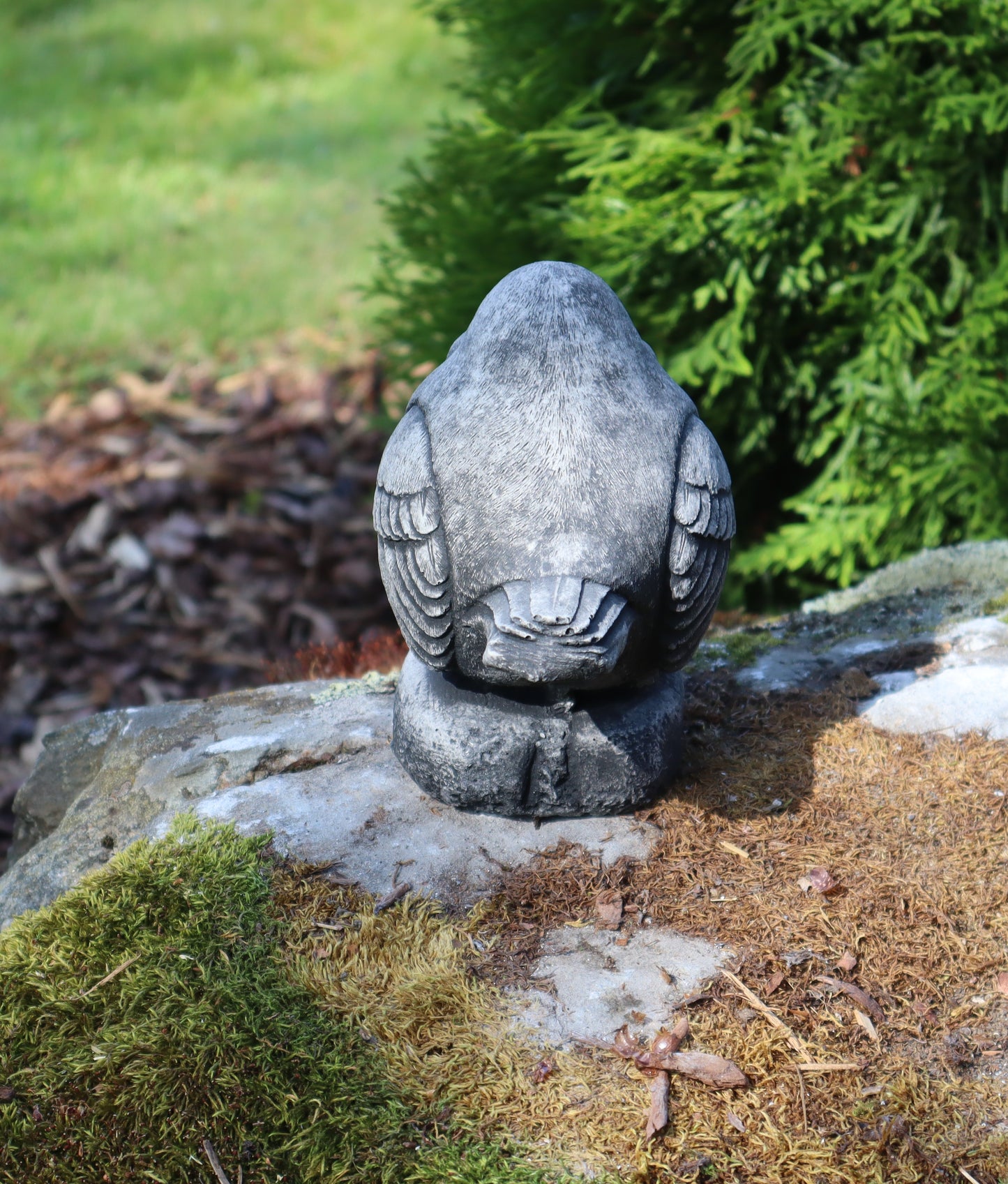 Lintu (katse eteenpäin)