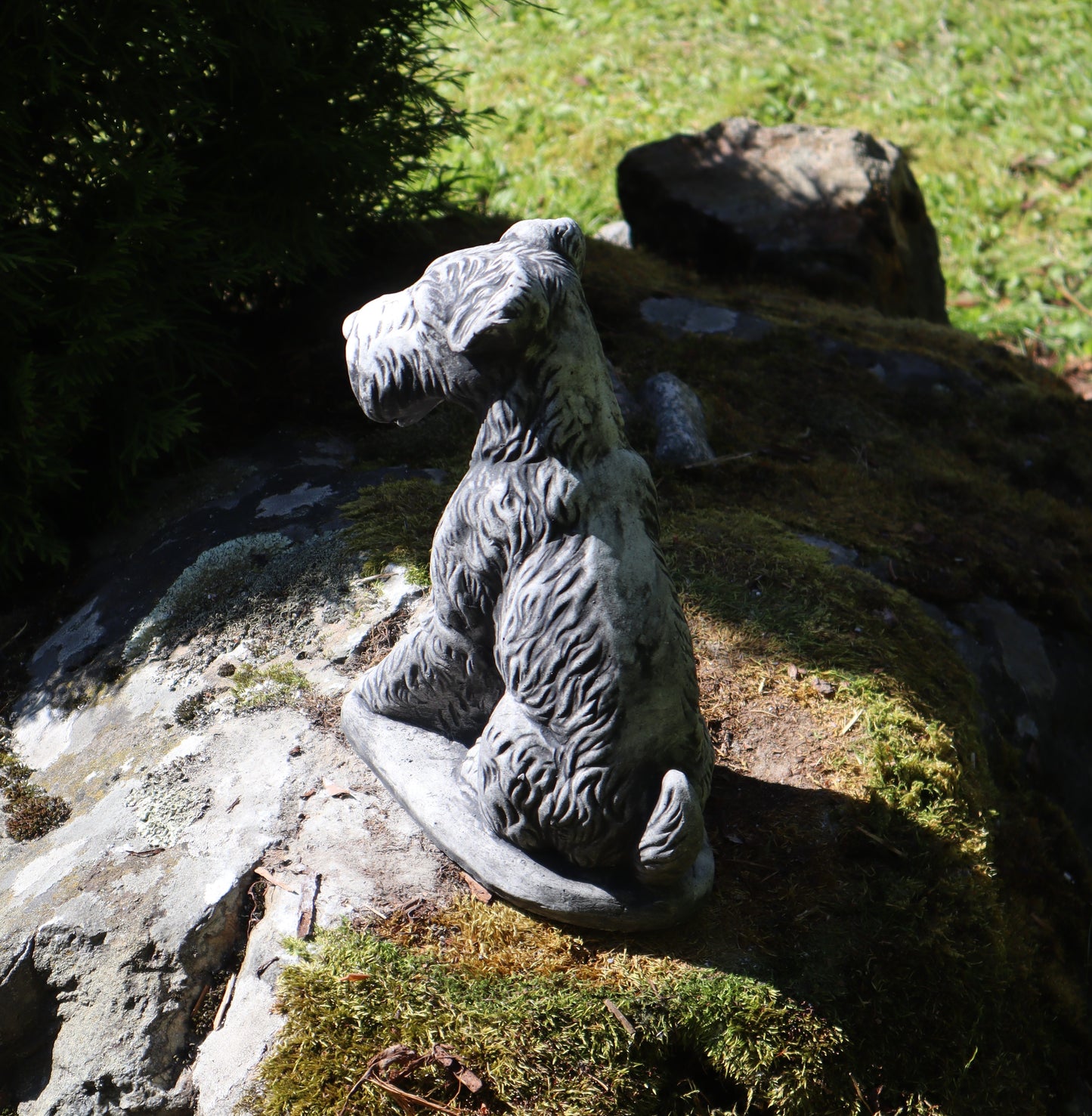 Koira, Snautseri